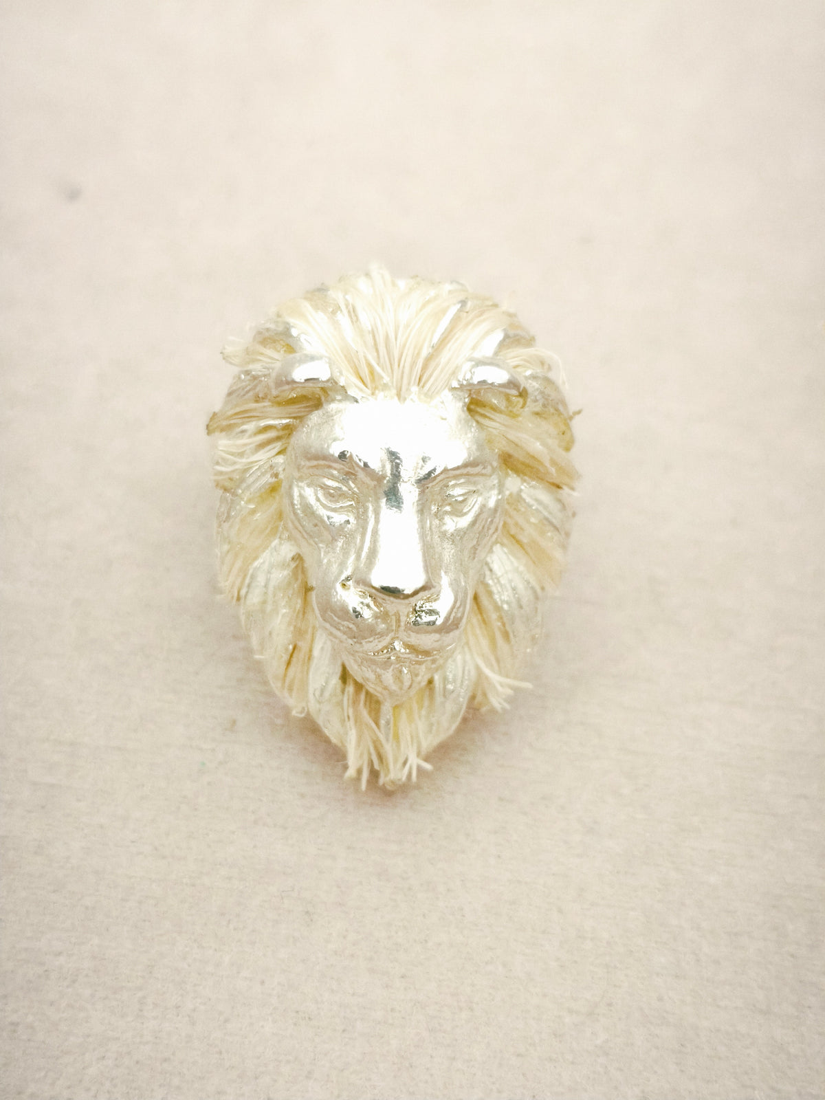 152 Anillo León