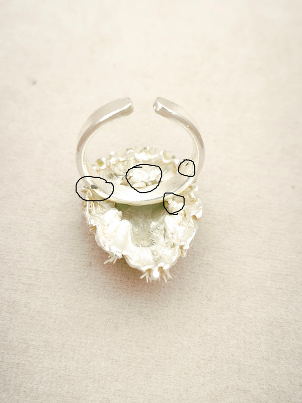 152 Anillo León