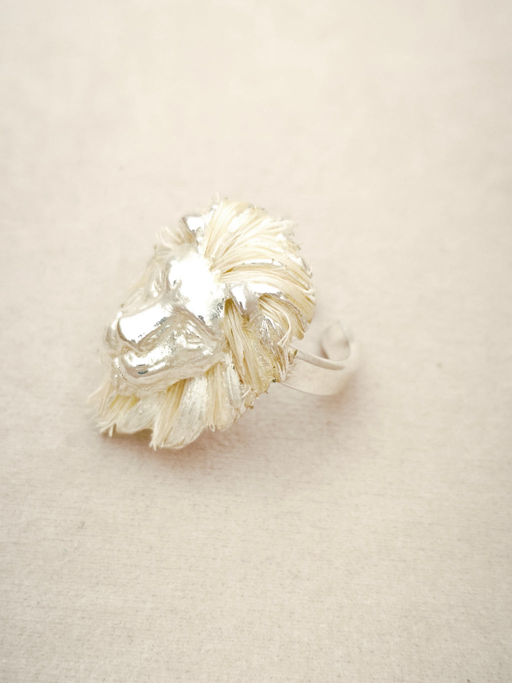 152 Anillo León