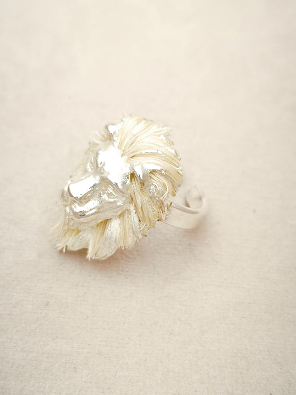 152 Anillo León