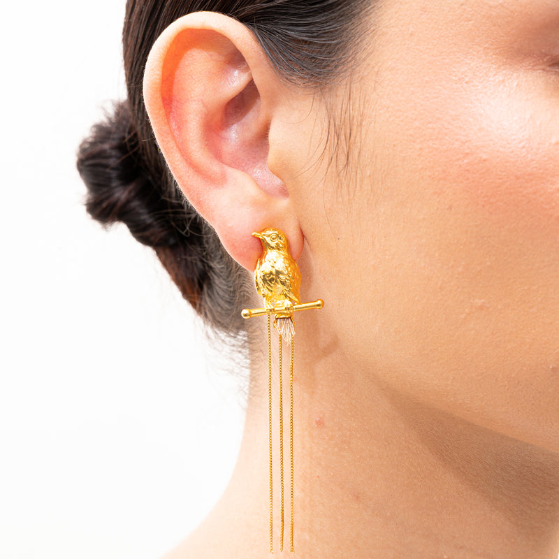 Aretes de Pájaro Cucarachero