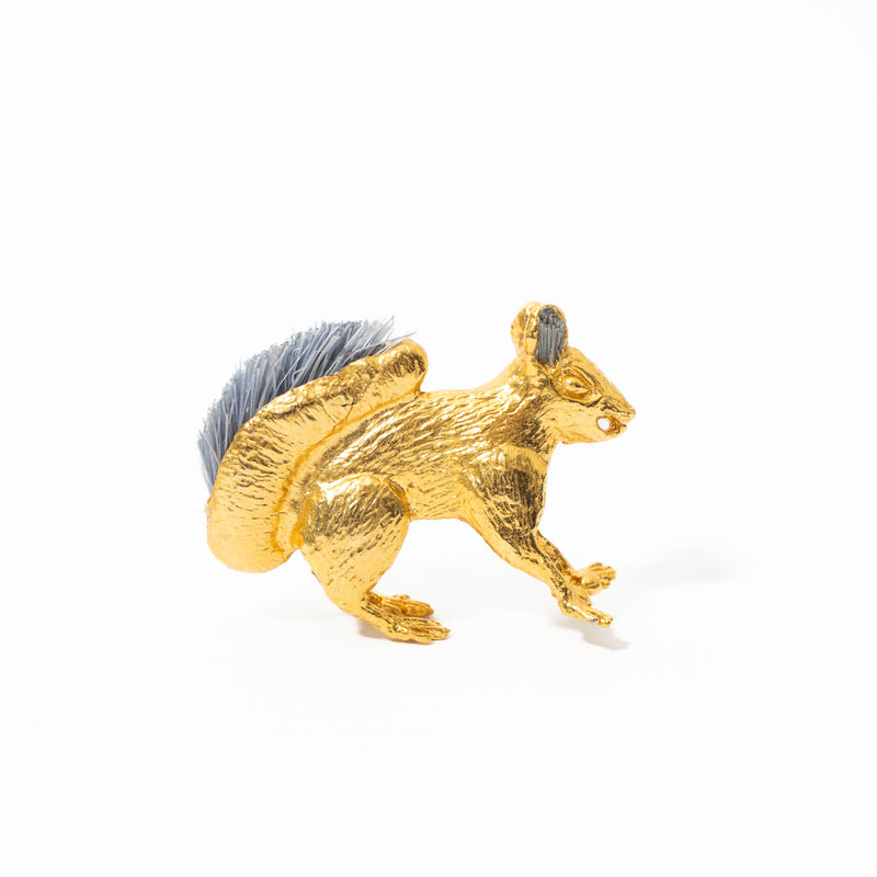 Broche De Ardilla