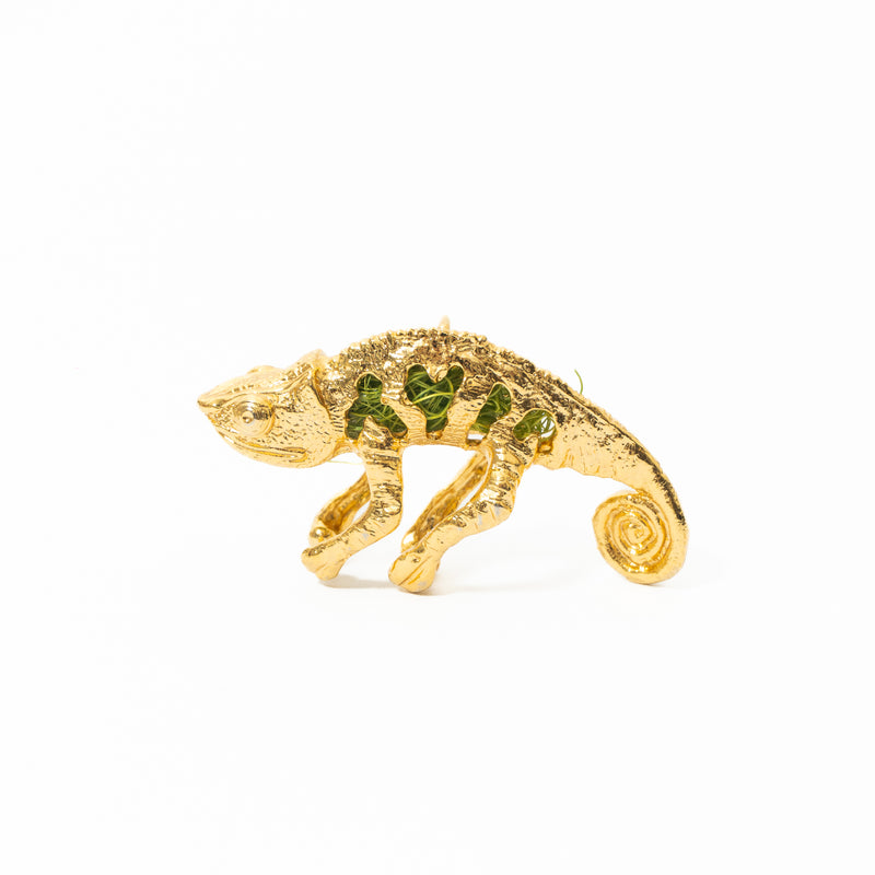 Broche De Camaleón