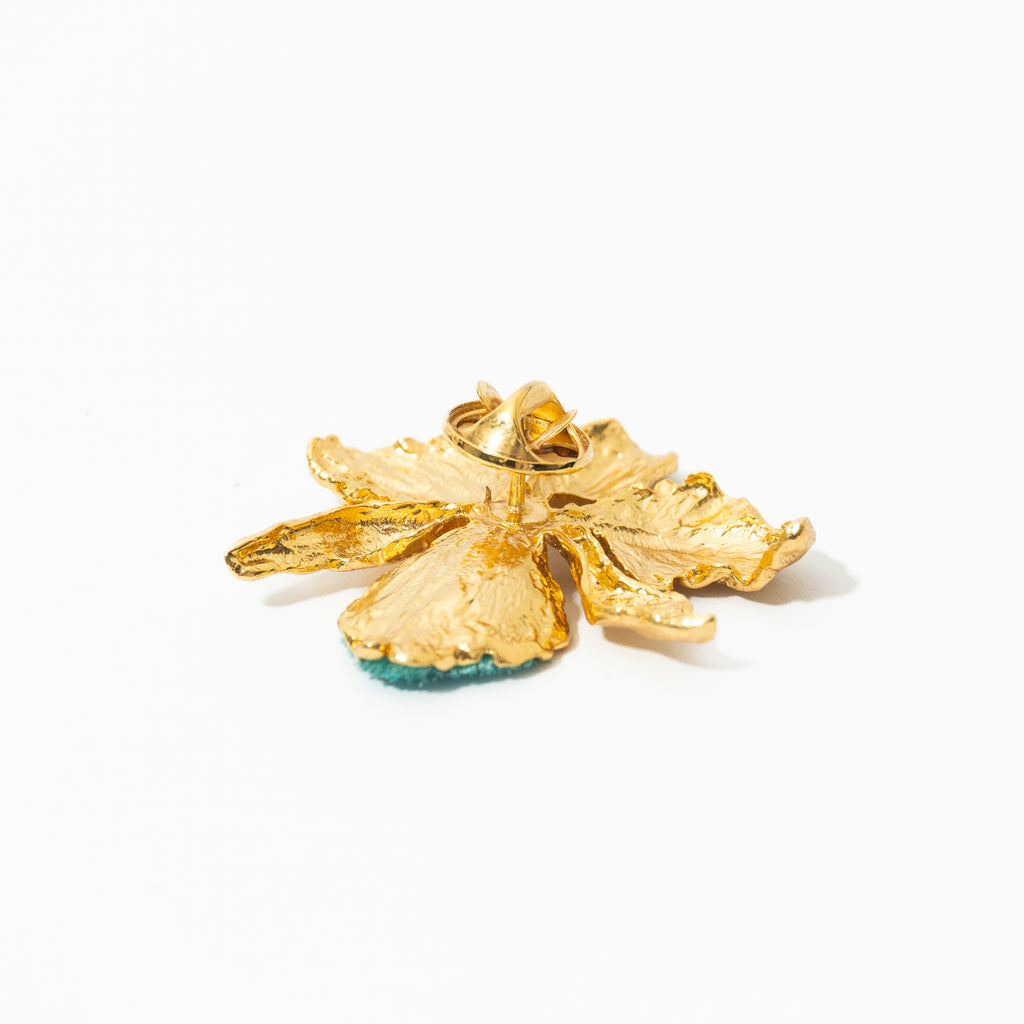Broche De Cattleya