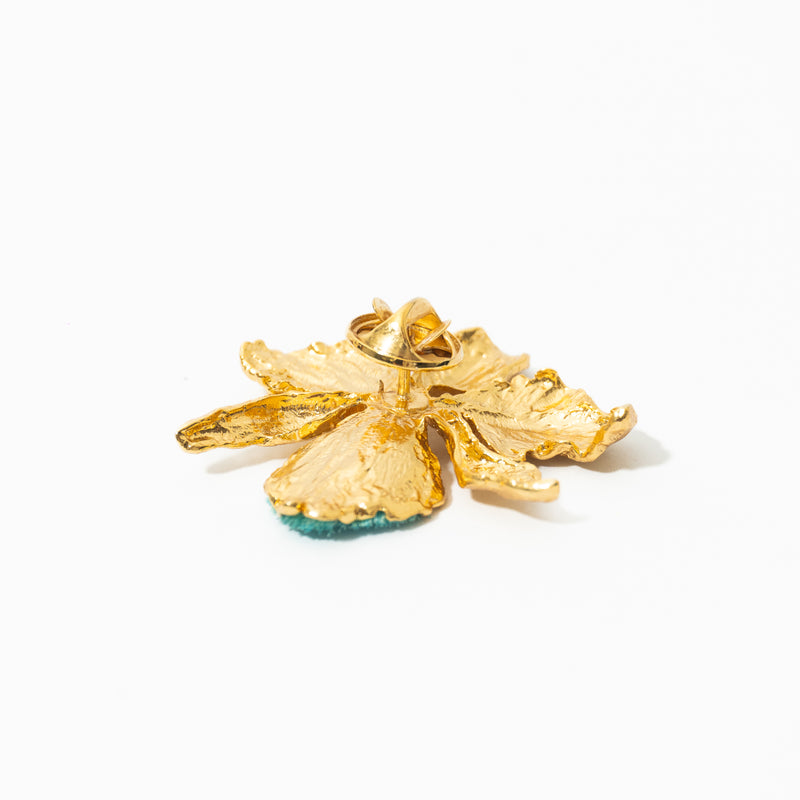Broche De Cattleya