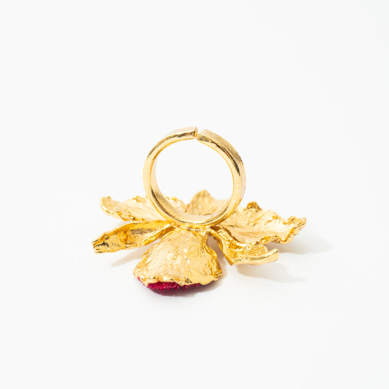 Anillo De Cattleya