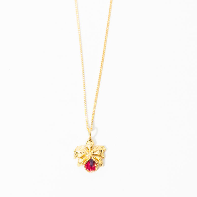 Cadena De Cattleya