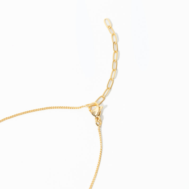 Cadena De Cattleya