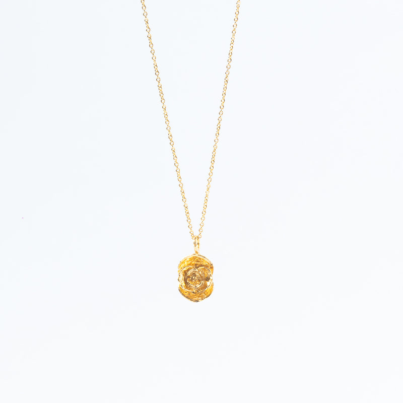 Cadena De Suculenta