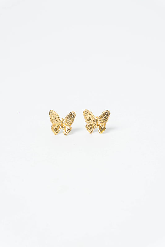 Topos De Mariposa