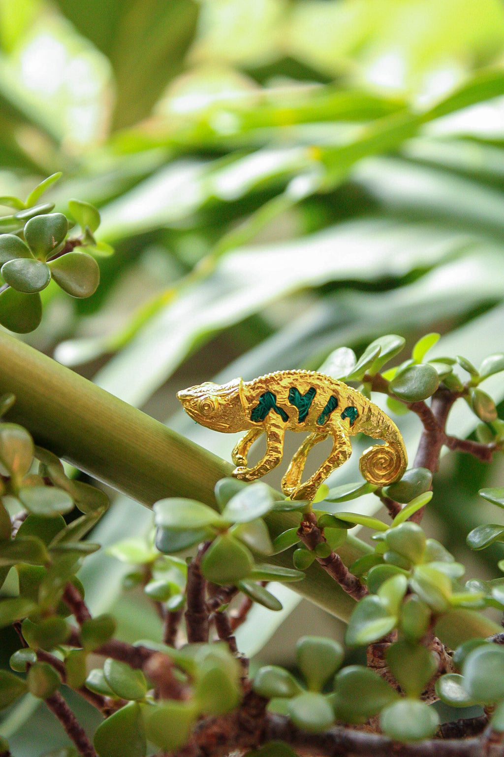 Ear Cuff De Camaleón