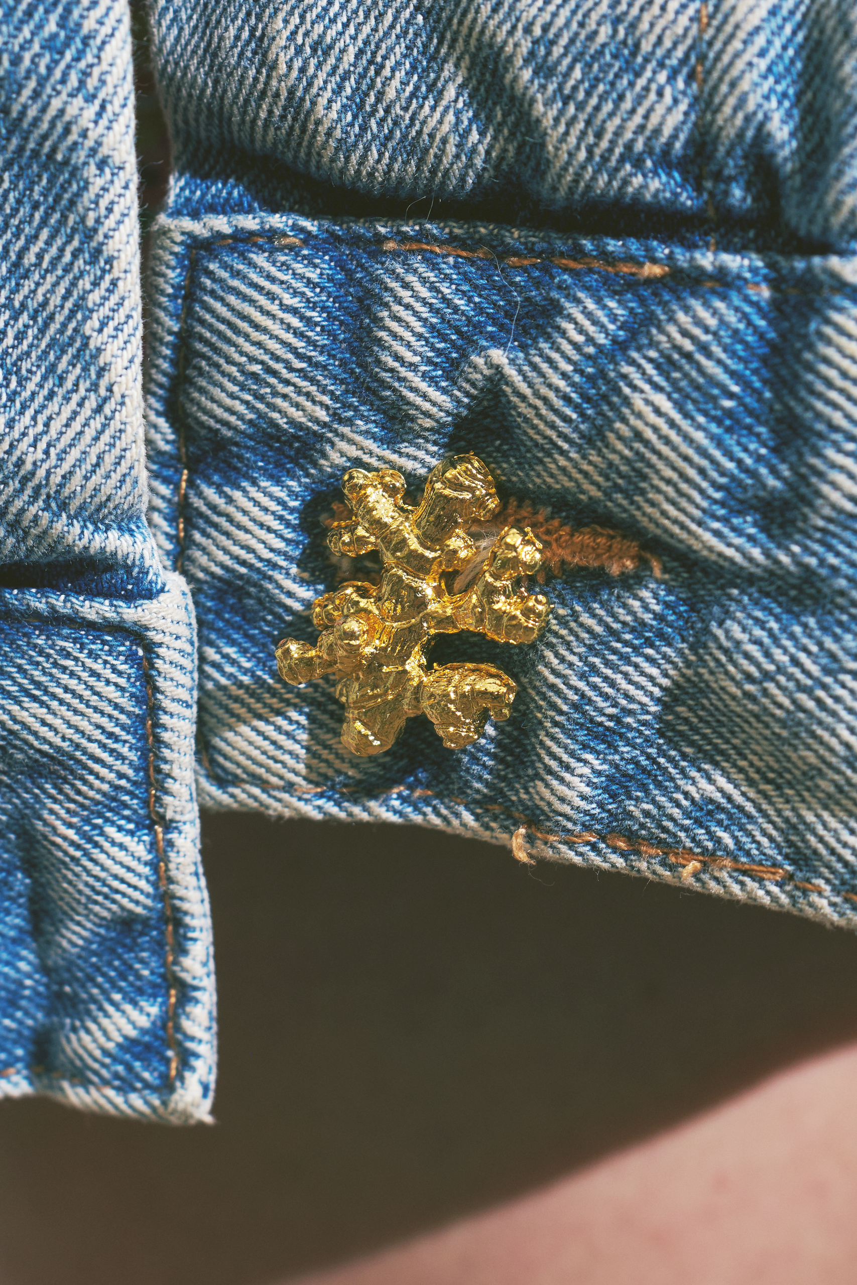 Broche De Jengibre