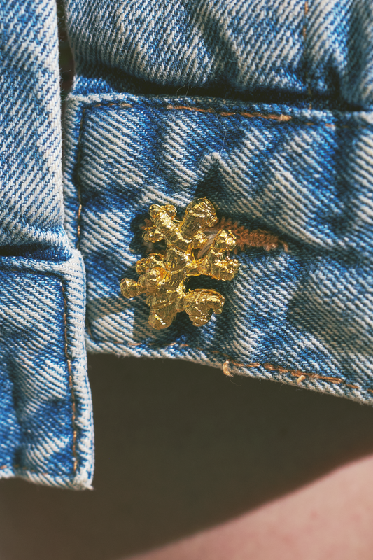 Broche De Jengibre