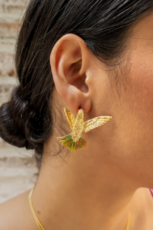 Aretes De Colibrí