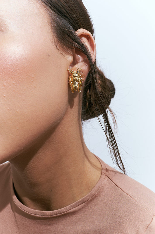 Aretes De Cigarra