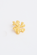 Broche De Jengibre
