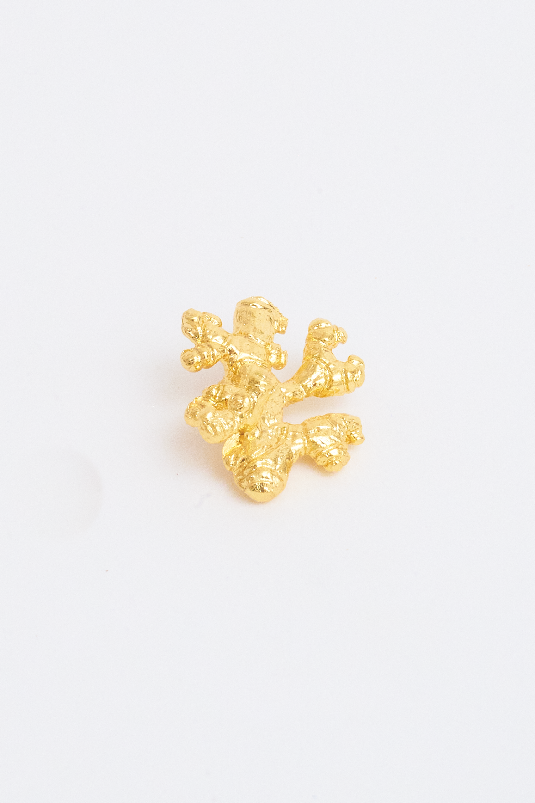 Broche De Jengibre