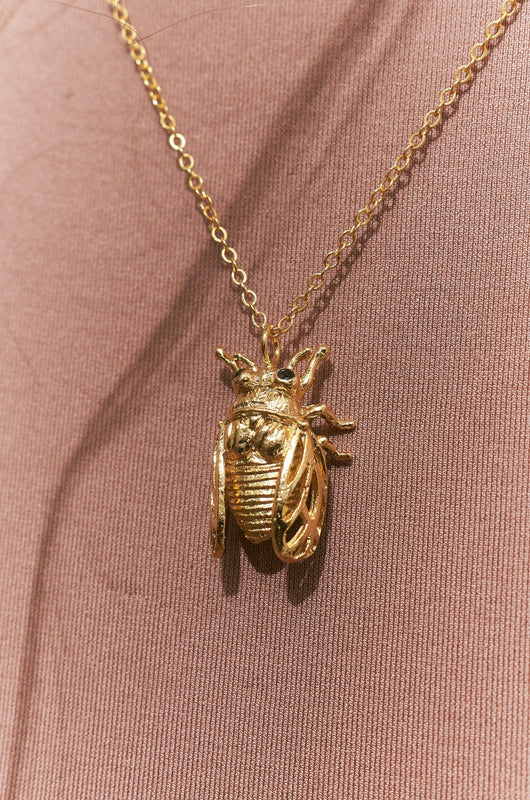 Cadena De Cigarra