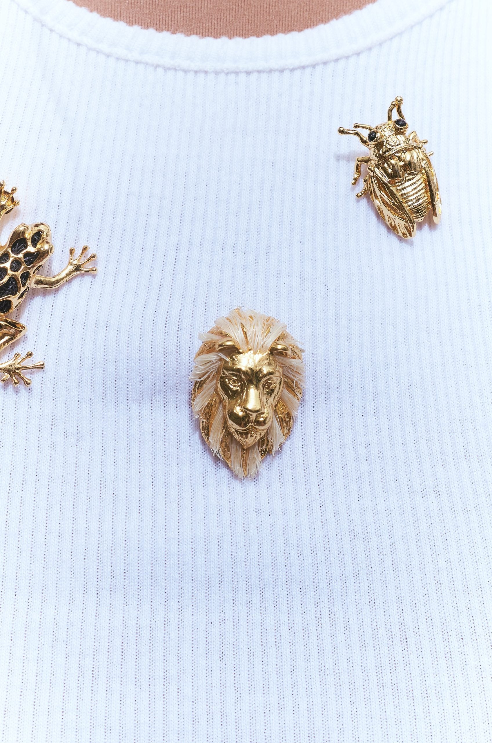 Broche De León