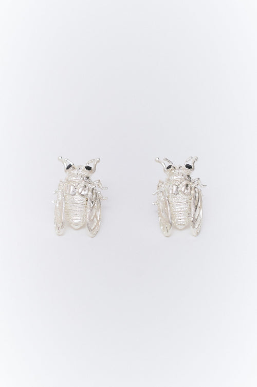 Aretes De Cigarra