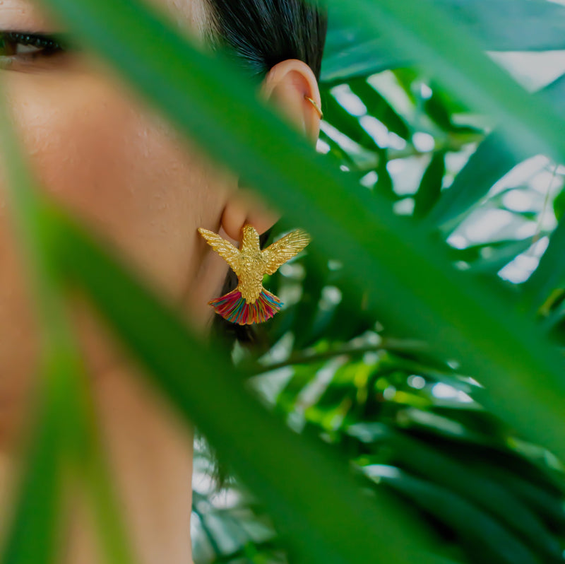 Aretes De Colibrí