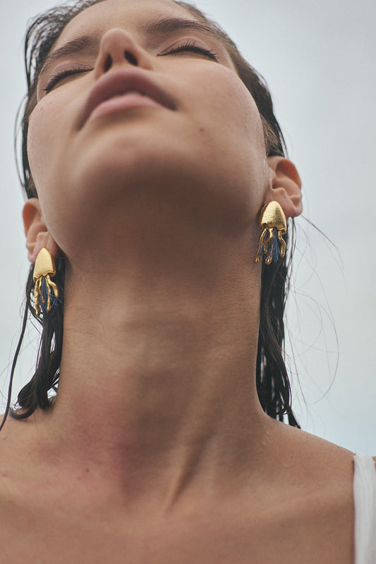 Aretes De Medusa